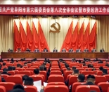 中共阜阳市委六届八次全会暨市委经济工作会议召开